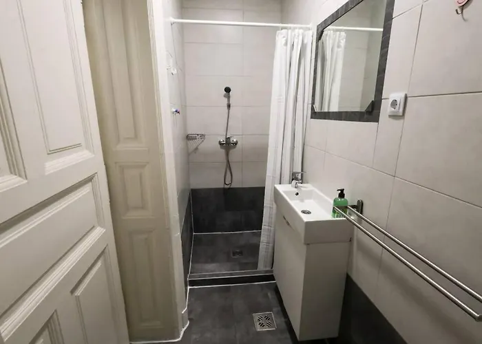 Apartament Pest-port Private Room-5 *